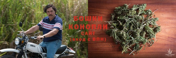 трава Бородино